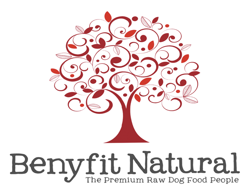 Benyfit puppy top