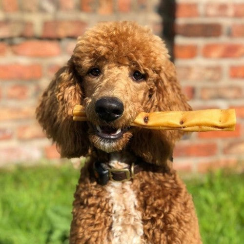 Pork rind for dogs 2025