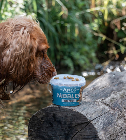 ANCO DUCK NIBBLES