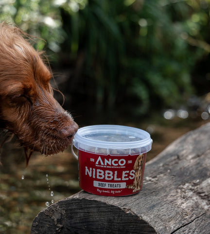 ANCO BEEF NIBBLES