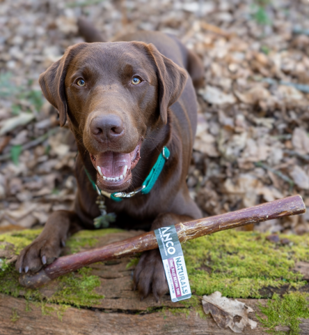 ANCO GIANT BULLY BILTONG TUBE