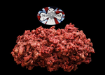TDB PORK MINCE WITH DUCK