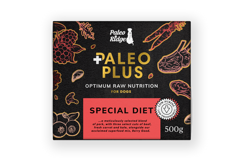 PALEO PLUS SPECIAL DIET