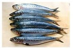 DAF SARDINES