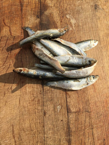 DAF RAW SPRATS